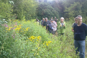One of the field meetings, led by Naturalist Fiona Barclay, investigates Bumble Bees.jpg - Perivale wood Centre (Project 21)